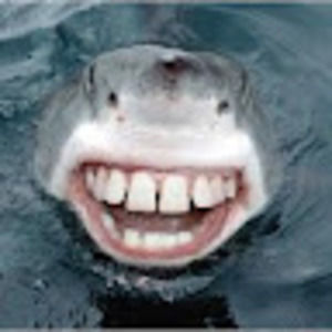 Meet your Posher, Mathieu